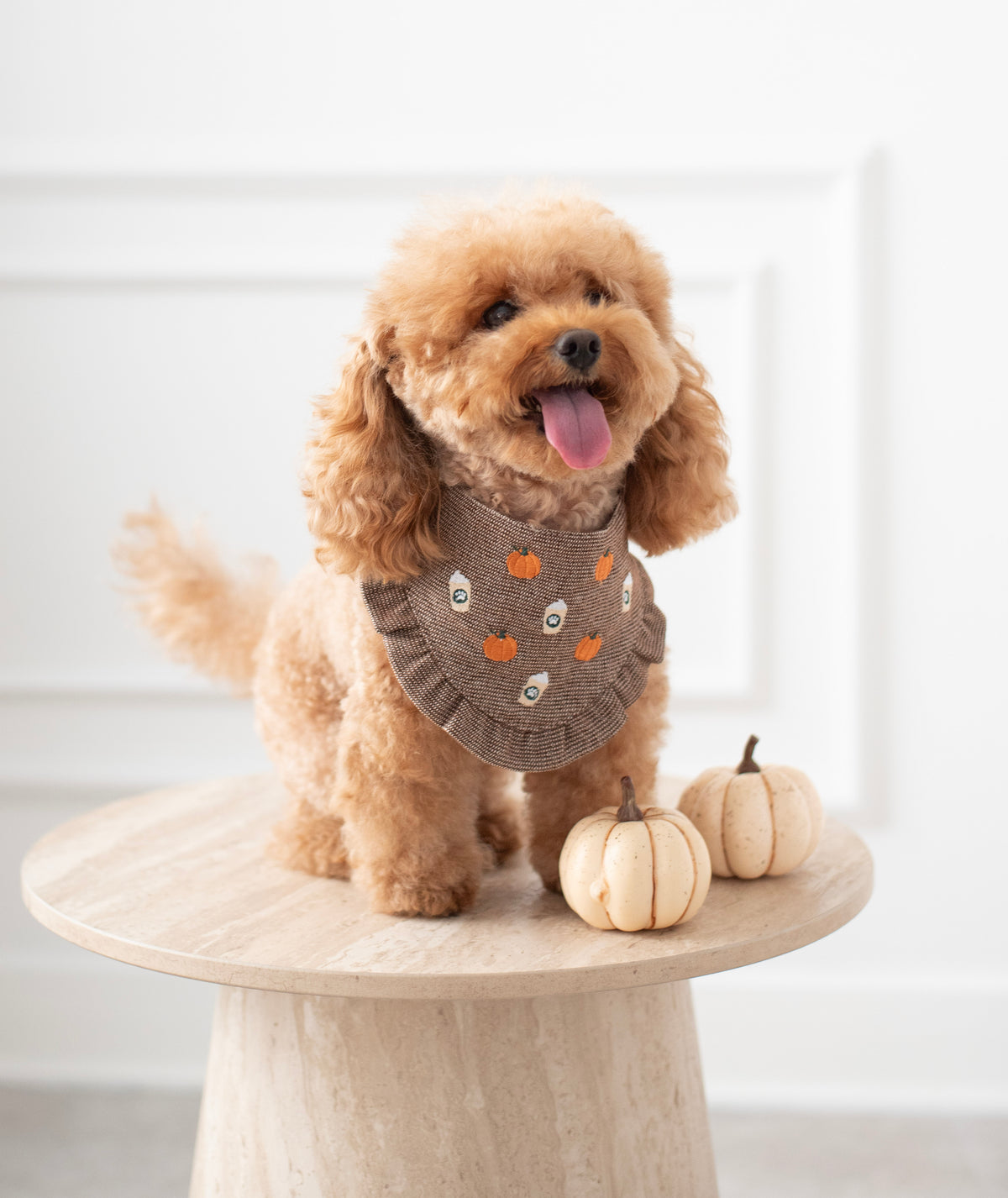Bandana Pumpkin Latte