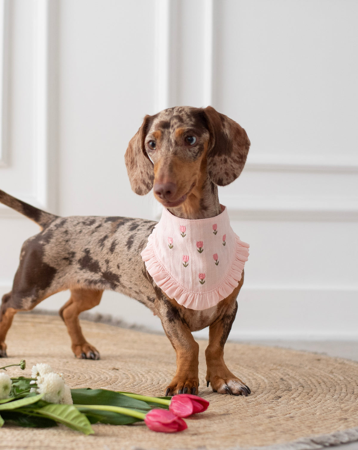 Bandana Tulipaw