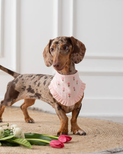 Bandana Tulipaw
