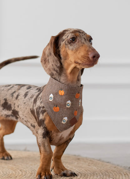 Bandana Pumpkin Latte