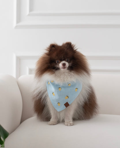 Bandana Lemon Pup