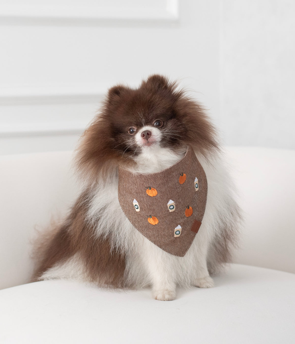 Bandana Pumpkin Latte