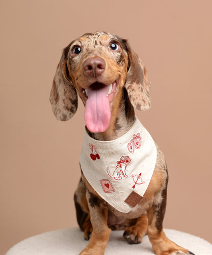 Bandana XOXO Pup