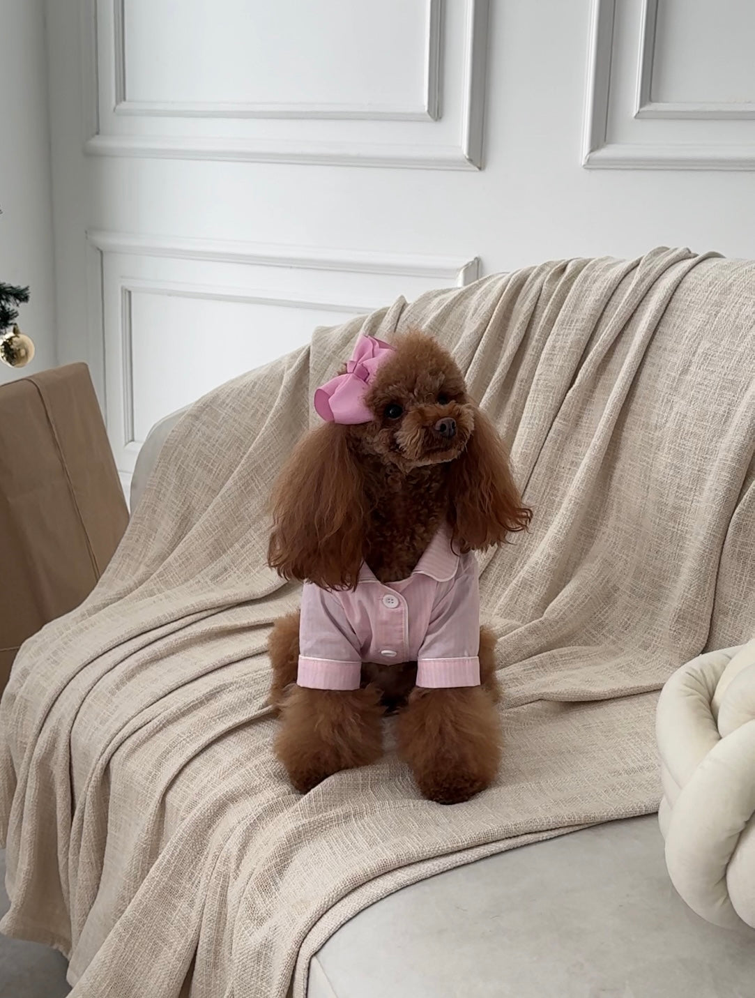 Pijama Cozy Paws Rosada (para perritos)