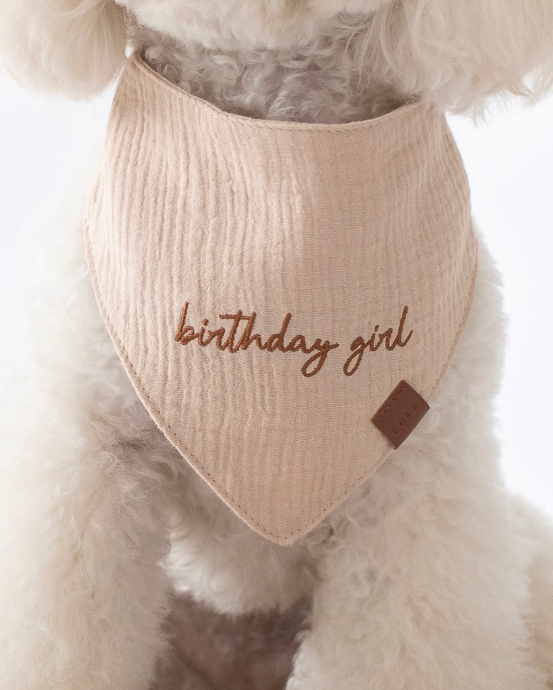 Bandana Birthday Girl